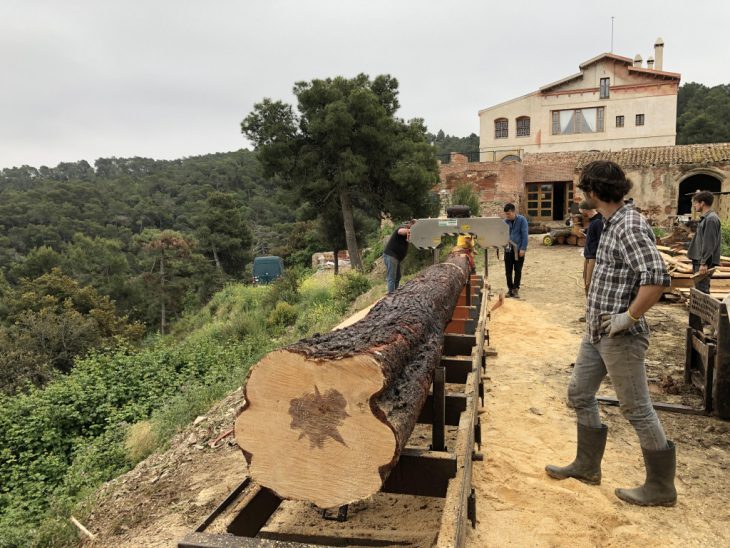 VALLDAURA LABS PRODUCES FULLY TRACEABLE WOOD, ONE STEP CLOSER TO CLOSING THE BIO-ECONOMY CYCLE