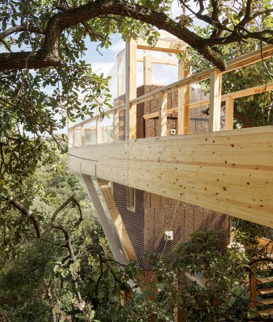 FLORA: IAAC build an observatory in Barcelona’s Forest  to monitor nature from within